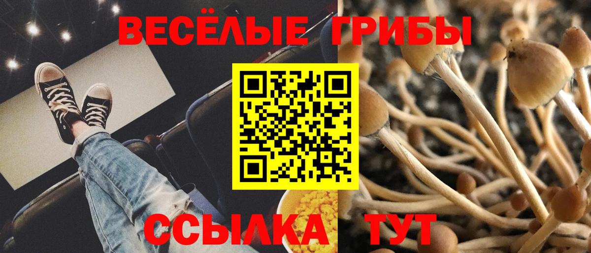 Алапаевск  Галлюциногенные грибы Magic Shrooms  Вход с VPN 