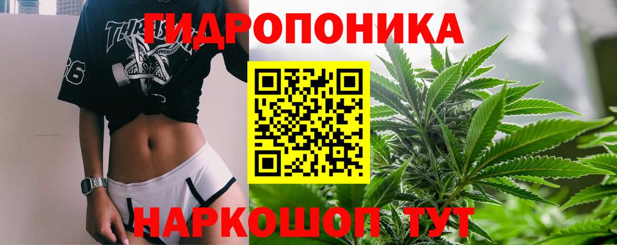 Марихуана тримм  Бошки Шишки марихуана  Алапаевск  Канабис Amnesia  Вход с VPN 